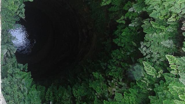 What Is Nature?