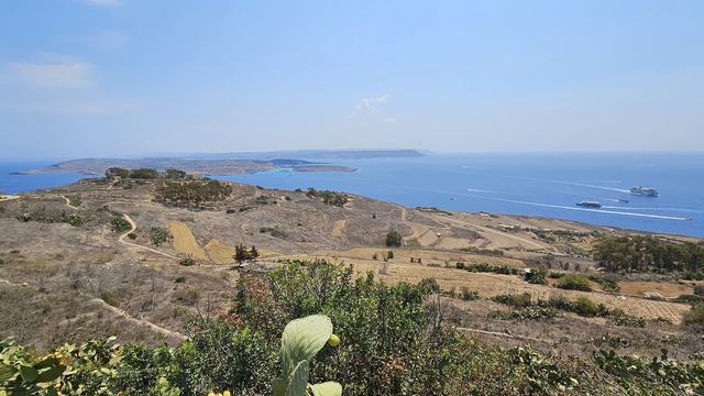 Terrestrial Environment