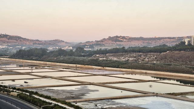 Estuarine Environment