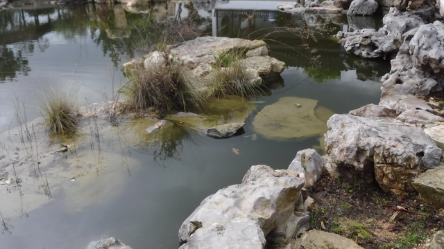 Freshwater Environment