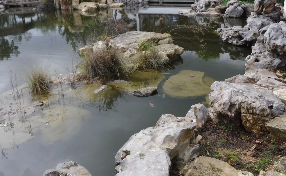 Fresh Water Pond