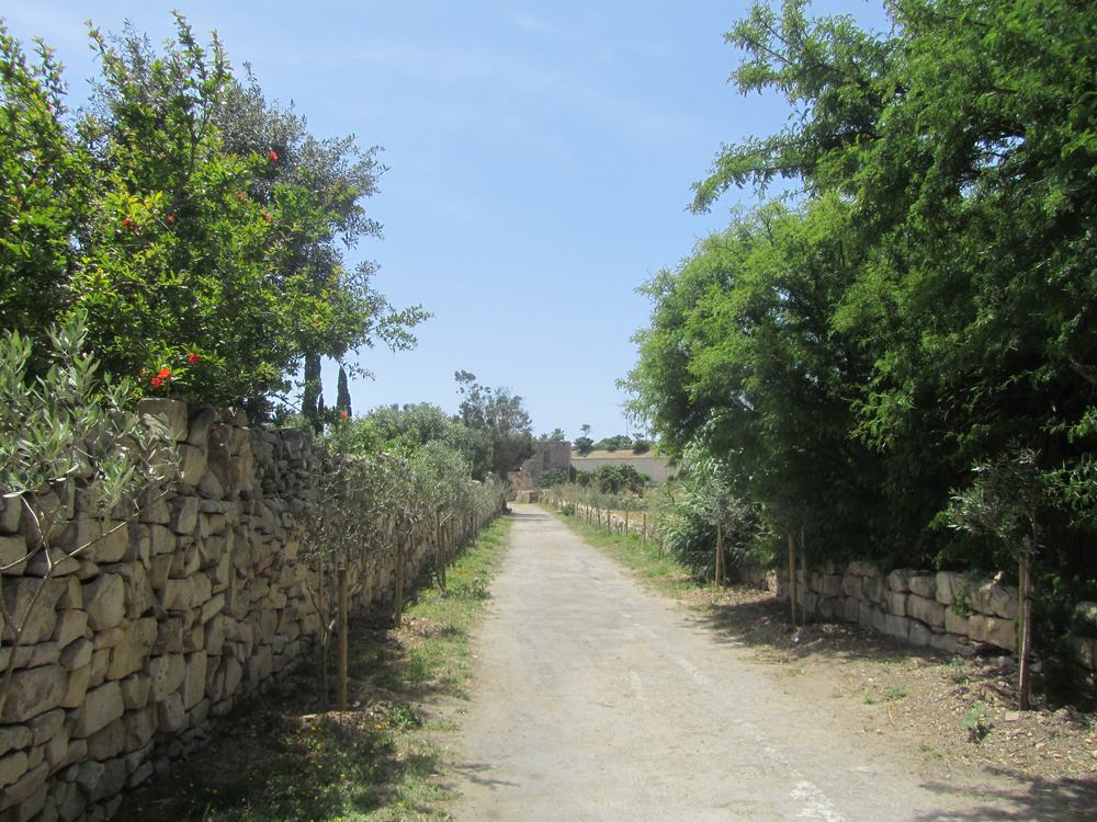 Maltese country