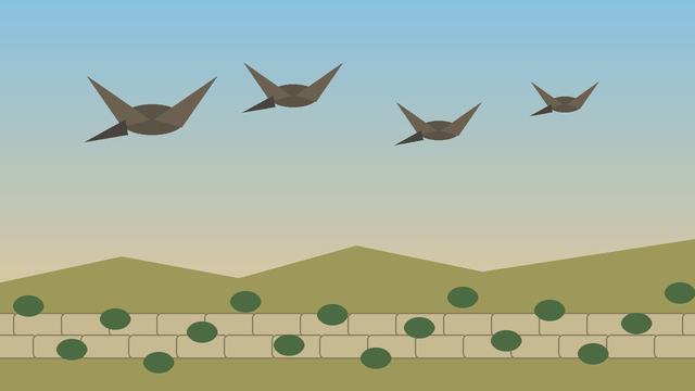 Malta's Autumn Hunting Season Opens With 500-Bird Turtle Dove Quota