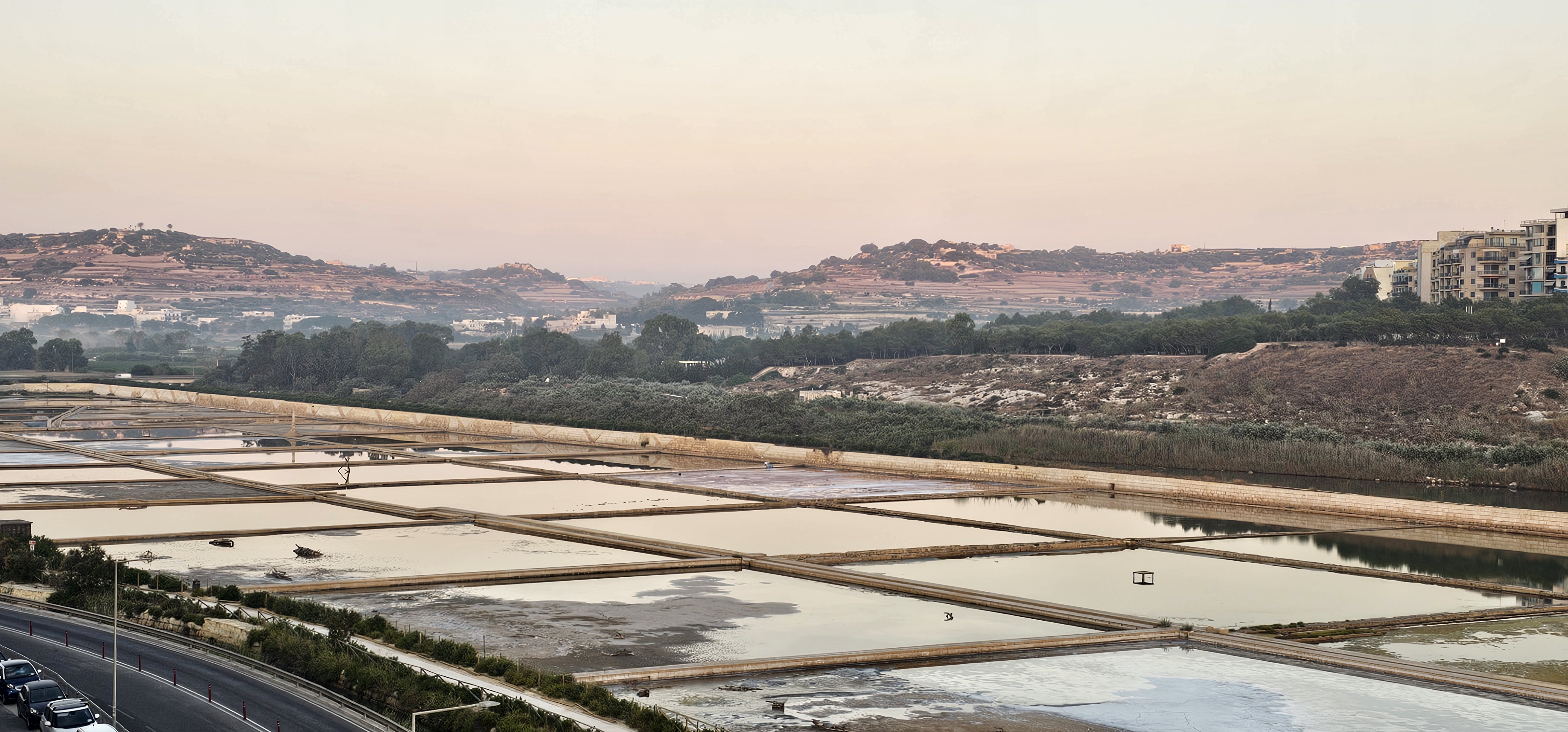 Estuarine Environment