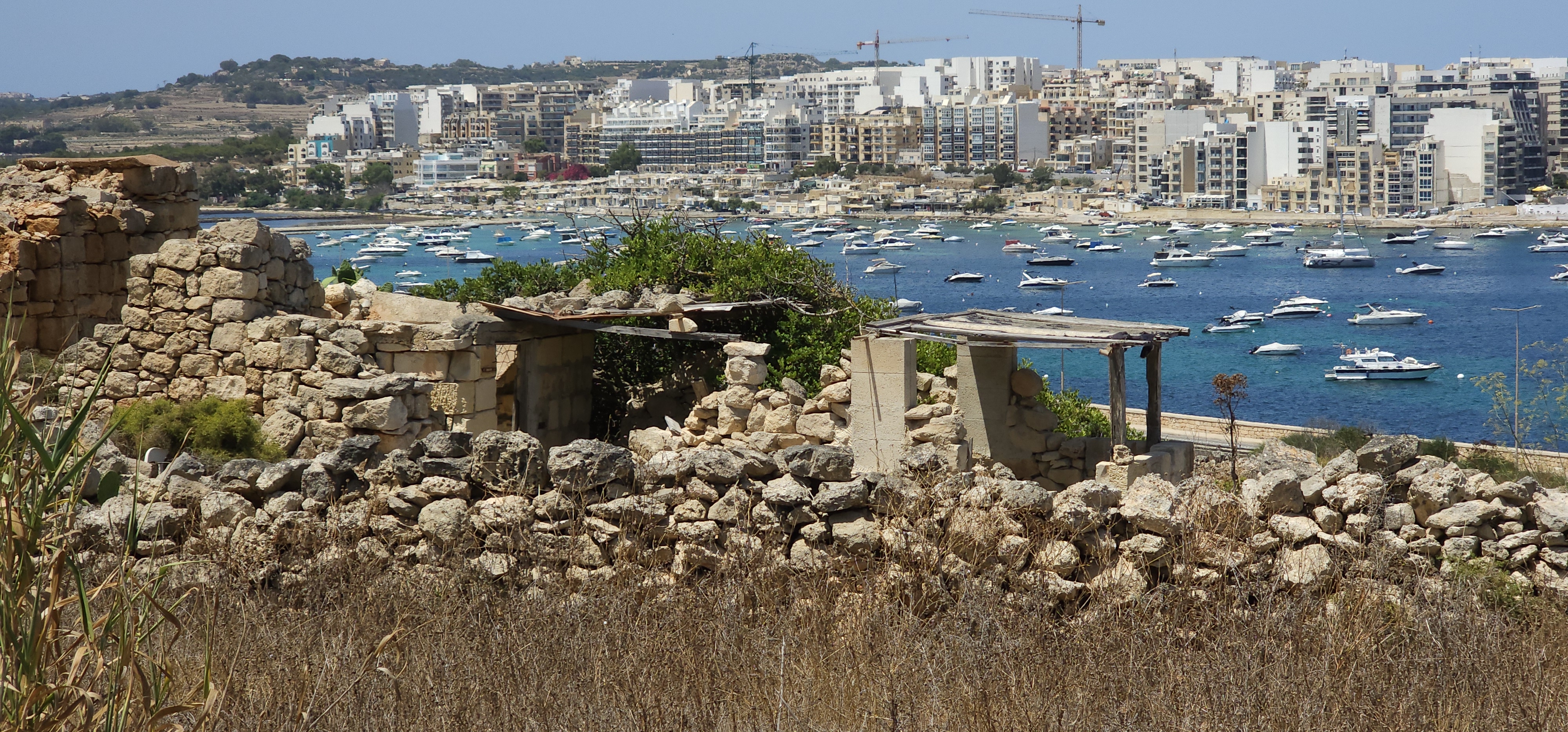 Hunting and Trapping in the Maltese Islands