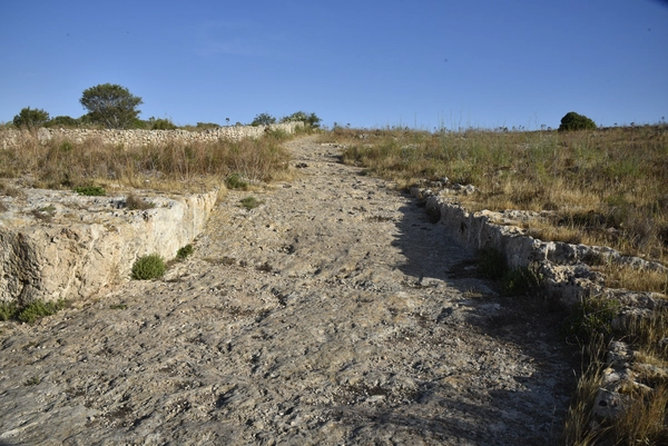 Environmental Chronology of the Maltese Islands